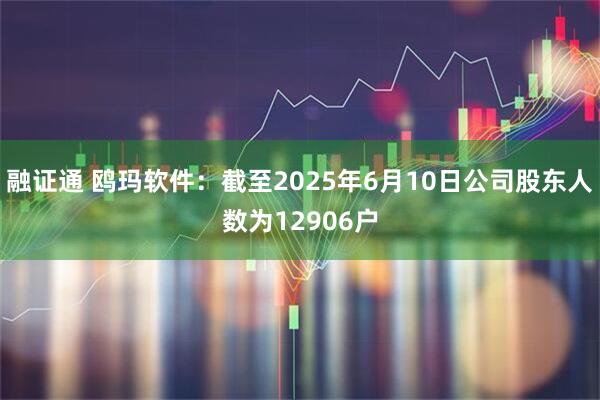 融证通 鸥玛软件：截至2025年6月10日公司股东人数为12906户