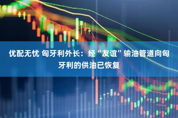 优配无忧 匈牙利外长：经“友谊”输油管道向匈牙利的供油已恢复